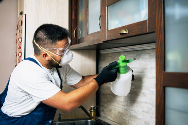 Best Pest Prevention Services  in Farley, IA
