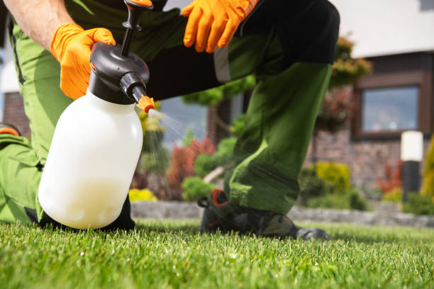Best Mosquito Control Services  in Farley, IA