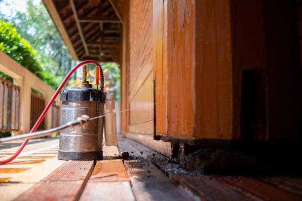 Best Affordable Pest Control Services  in Farley, IA