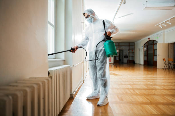 Best Pest Control for Homes  in Farley, IA
