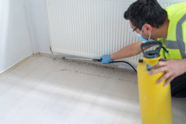 Best Pest Prevention Services  in Farley, IA