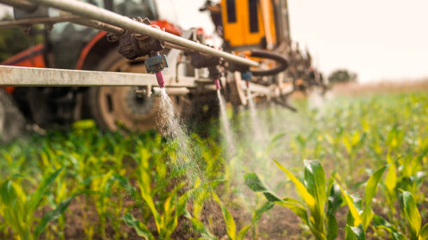 Pest Control Cost in Farley, IA